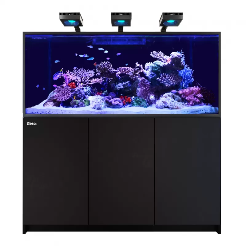 Red Sea REEFER™ MAX S-700 G2+ Black bestellen? l Coralandfishstore.nl Red Sea REEFER™ MAX S-700 G2+ Black bestellen? l Coralandfishstore.nl
