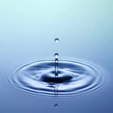 Osmosewasser pro Liter kaufen | Coralandfishstore.nl