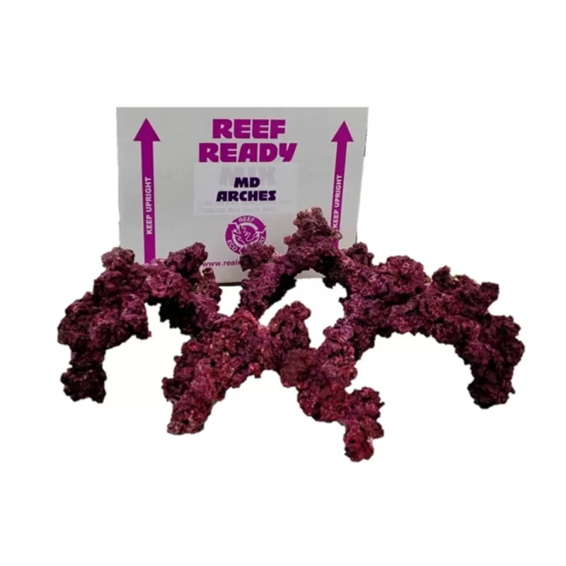 Kaufen Sie echte Riffbögen | Coralandfishstore.nl Kaufen Sie echte Riffbögen | Coralandfishstore.nl