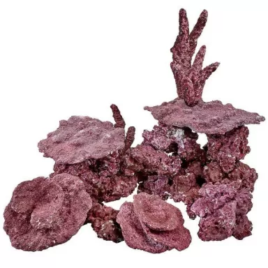 Kaufen Sie Real Reef Ready Mix - Mini Reef Box 9kg | Coralandfishstore.nl