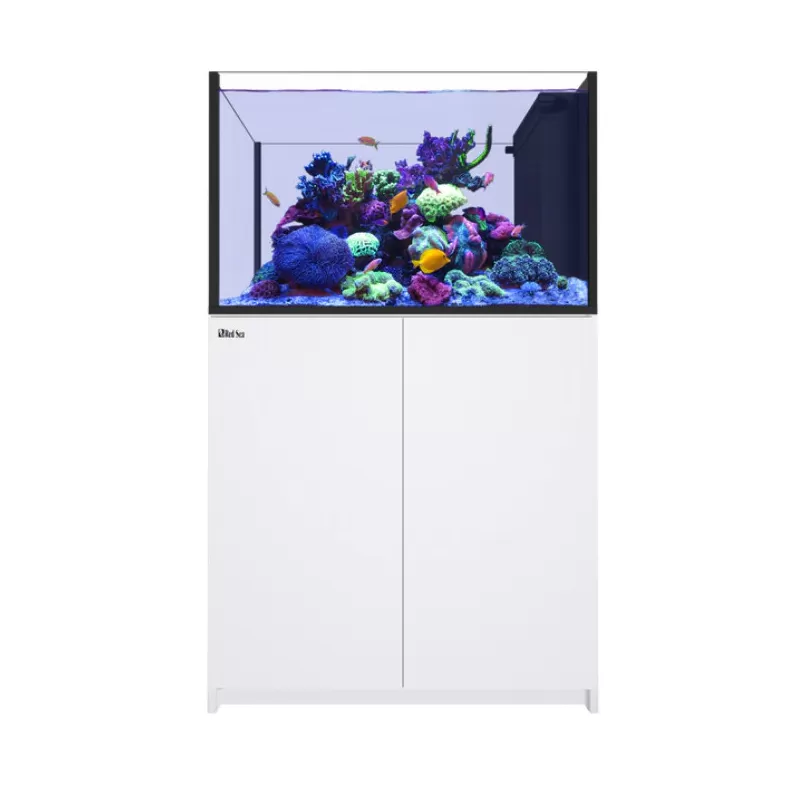 Möchten Sie Red Sea REEFER Peninsula G2+ 350 System White kaufen? | Coralland Fischladen Möchten Sie Red Sea REEFER Peninsula G2+ 350 System White kaufen? | Coralland Fischladen