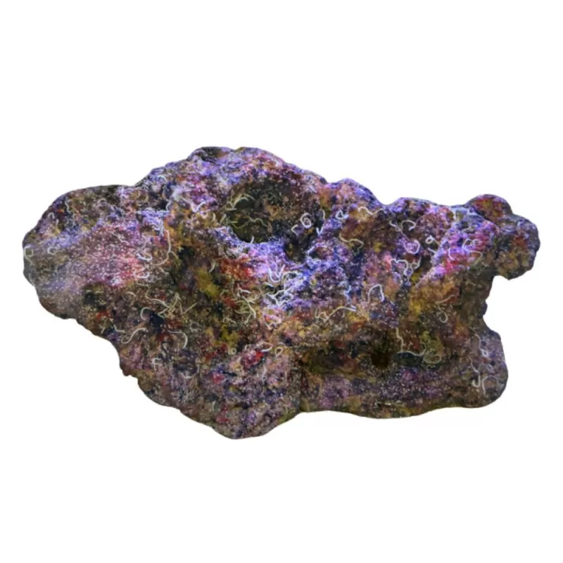 DRR Cultured Mixed Base Live Rock wet - per kilo DRR Cultured Mixed Base Live Rock wet - per kilo