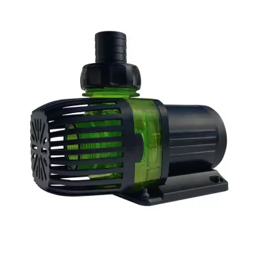 DD Funktion 10000 DC-Pumpe