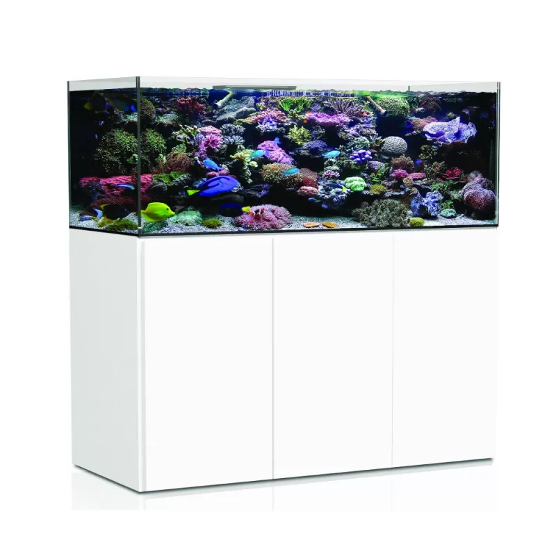 Aqua Medic Armatus 575XD White bestellen? l Coralandfishstore.nl Aqua Medic Armatus 575XD White bestellen? l Coralandfishstore.nl