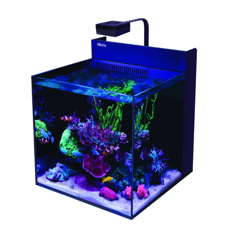 Möchten Sie Red Sea MAX NANO G2 XL ohne Möbel kaufen? | Coralandfishstore Möchten Sie Red Sea MAX NANO G2 XL ohne Möbel kaufen? | Coralandfishstore