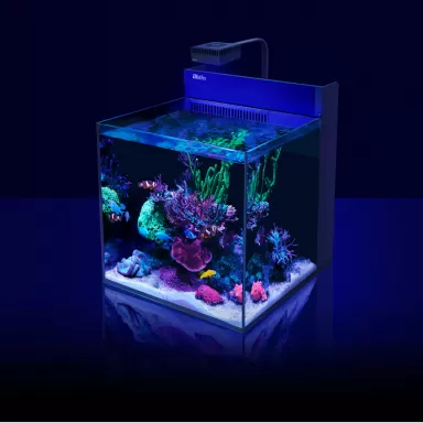 Möchten Sie Red Sea MAX NANO G2 XL ohne Möbel kaufen? | Coralandfishstore