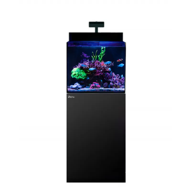 Möchten Sie Red Sea MAX NANO G2 XL mit schwarzen Möbeln kaufen? | Corallandfishstore Möchten Sie Red Sea MAX NANO G2 XL mit schwarzen Möbeln kaufen? | Corallandfishstore