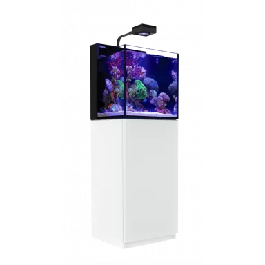 Möchten Sie Red Sea MAX NANO G2 Cube kaufen? | Coralandfishstore