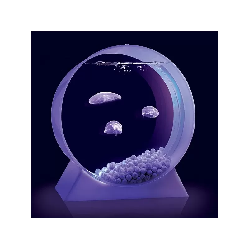 Desktop Jellyfish Tank - kwallen Aquarium Desktop Jellyfish Tank - kwallen Aquarium