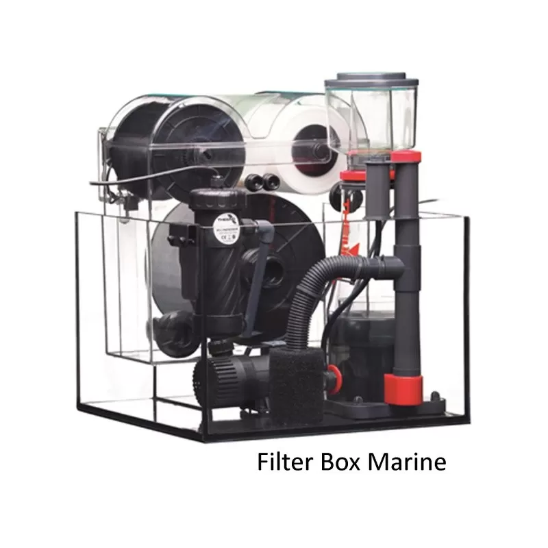 Möchten Sie Theiling Filterbox Marine kaufen? Coralandfishstore.nl Möchten Sie Theiling Filterbox Marine kaufen? Coralandfishstore.nl