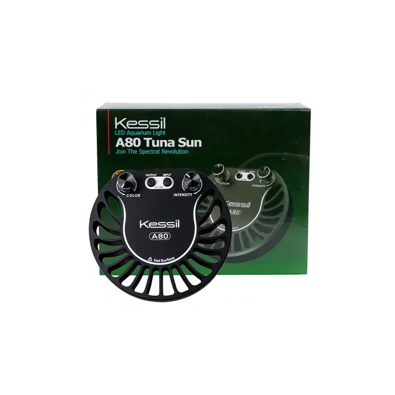 Kessil LED A80 Thunfisch Sonne