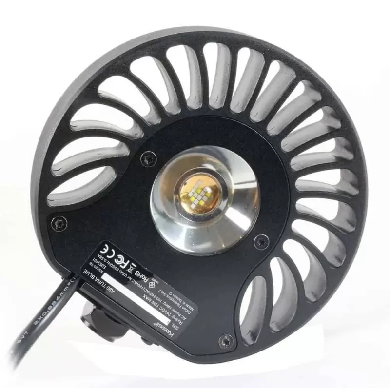 Kessil LED A80 Thunfisch Sonne