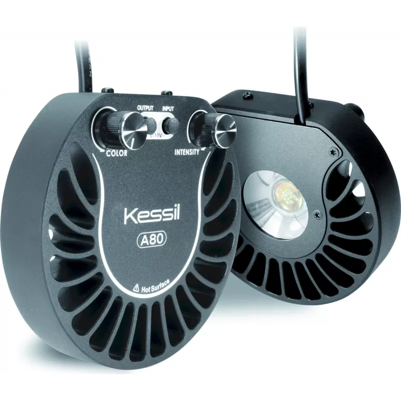 Kessil LED A80 Thunfisch Sonne