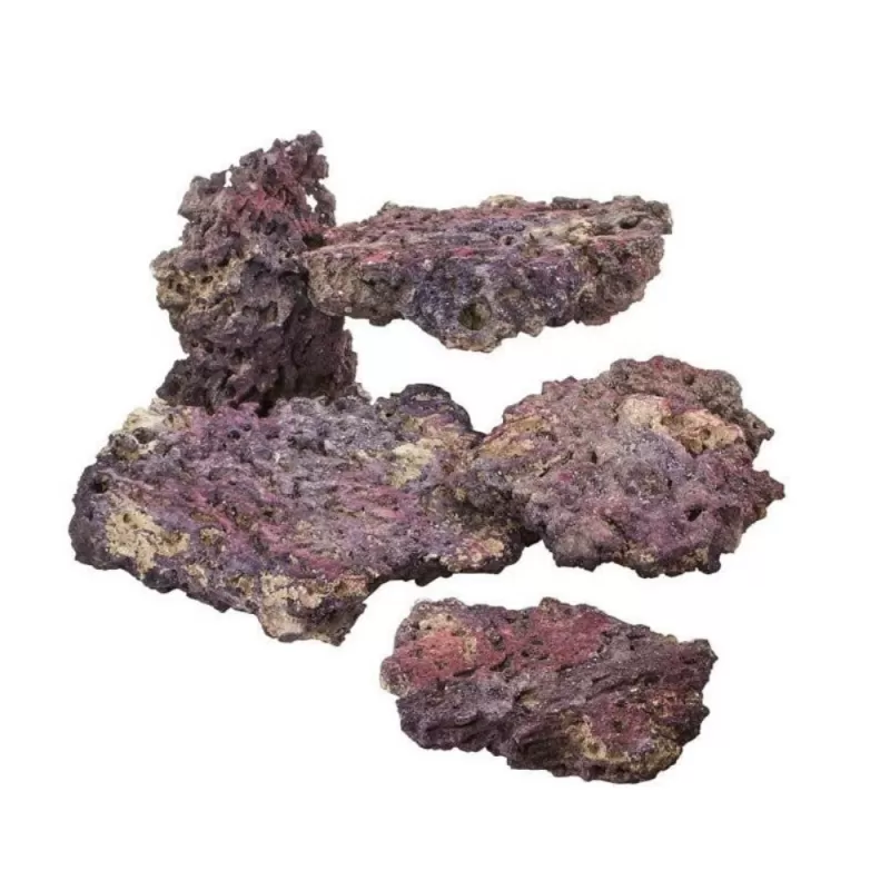 CaribSea Life Rock mit Bakterien Shelf Rock Plates | Coralandfishstore.nl CaribSea Life Rock mit Bakterien Shelf Rock Plates | Coralandfishstore.nl
