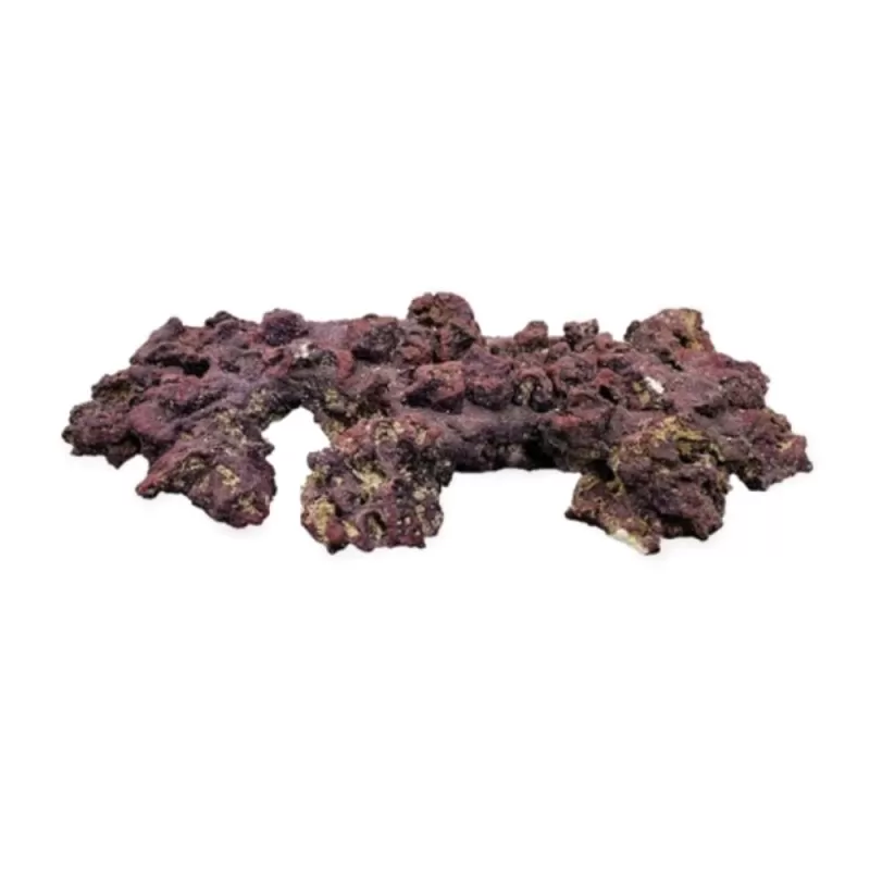 CaribSea Life Rock mit Bakterien Shelf Rock Plates | Coralandfishstore.nl CaribSea Life Rock mit Bakterien Shelf Rock Plates | Coralandfishstore.nl
