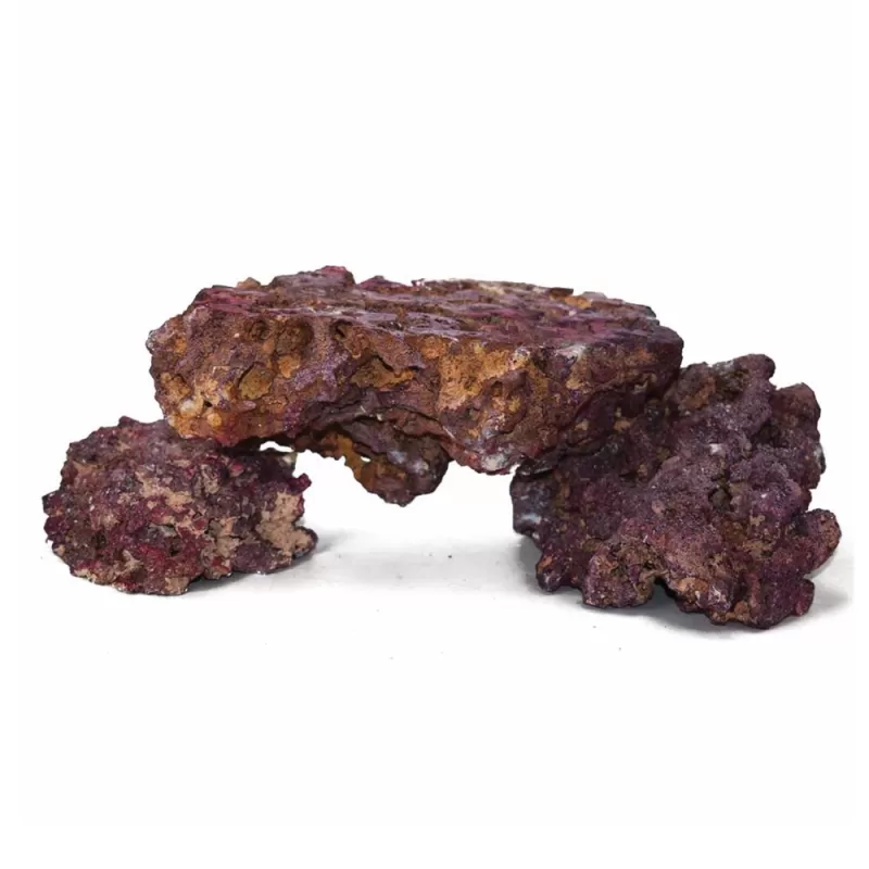 CaribSea Life Rock mit Bakterien Shelf Rock Plates | Coralandfishstore.nl CaribSea Life Rock mit Bakterien Shelf Rock Plates | Coralandfishstore.nl