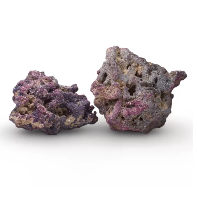Möchten Sie Caribsea Life Rock bestellen? | CORALANDFISHSTORE.NL Möchten Sie Caribsea Life Rock bestellen? | CORALANDFISHSTORE.NL
