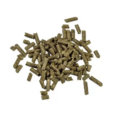 Dr. Bassleer Biofischfutter Garnelensticks Acai 150 g kaufen? Coralandfishstore.nl