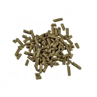 Dr. Bassleer Biofischfutter Garnelensticks Chlorella 60g kaufen? | Coralandfishstore.nl