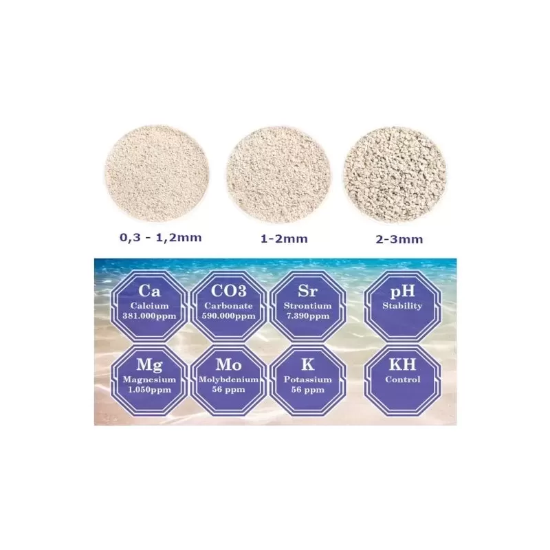 DVH Aragonit-Natursand 2,8 kg 2-3 mm