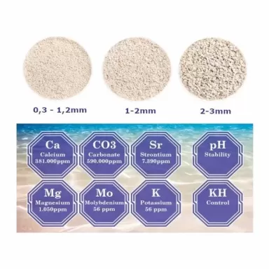 DVH Aragonit-Natursand 2,8 kg 1–2 mm kaufen? Coralandfishstore.nl