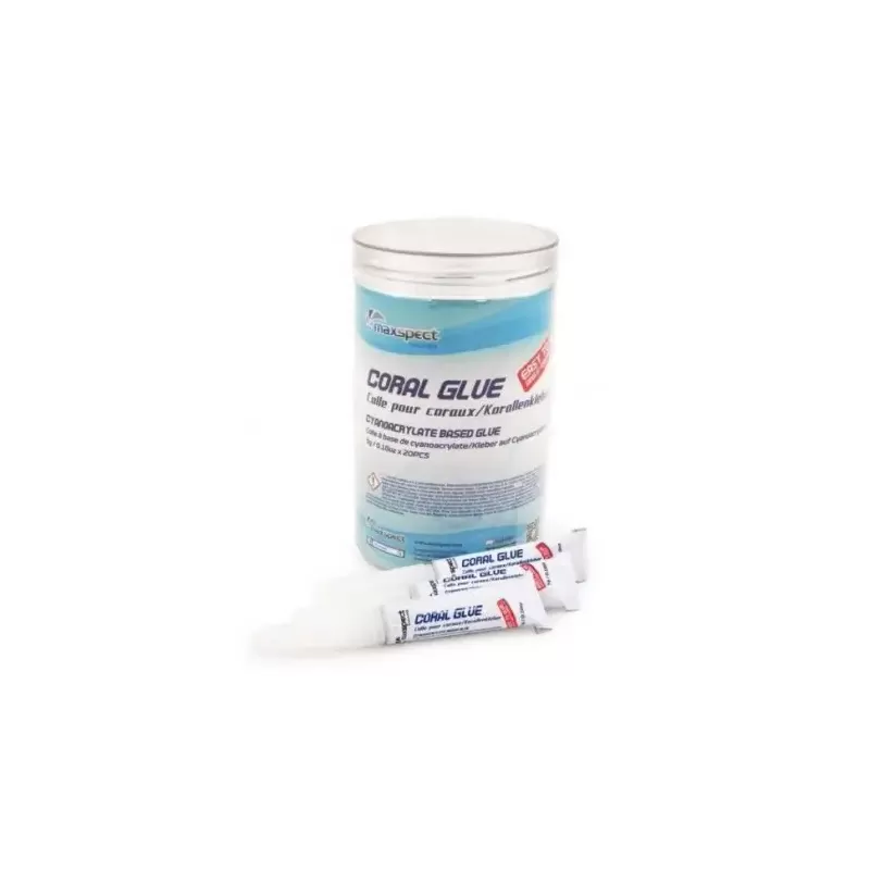 Maxspect Klebestift 5 gr. Glas mit 20 Stück Maxspect Klebestift 5 gr. Glas mit 20 Stück