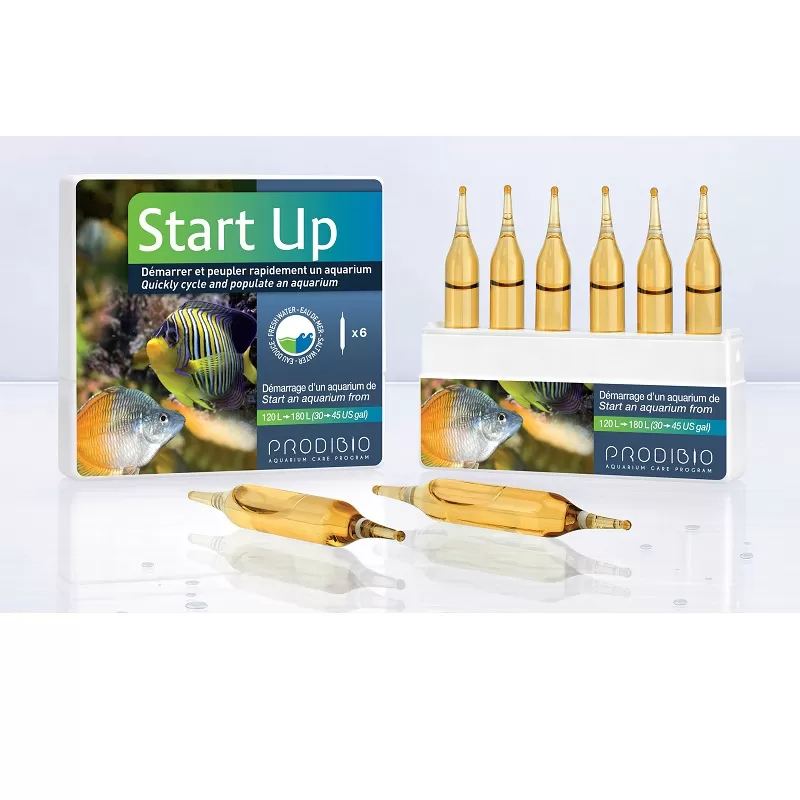 PRODIBIO START UP 6 Ampere – Meersüß PRODIBIO START UP 6 Ampere – Meersüß