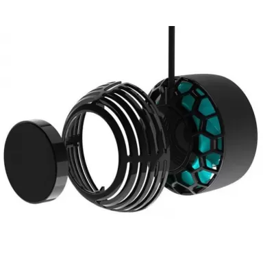 AI Nero 5 Anemone Guard kopen? Coralandfishstore.nl AI Nero 5 Anemone Guard kopen? Coralandfishstore.nl