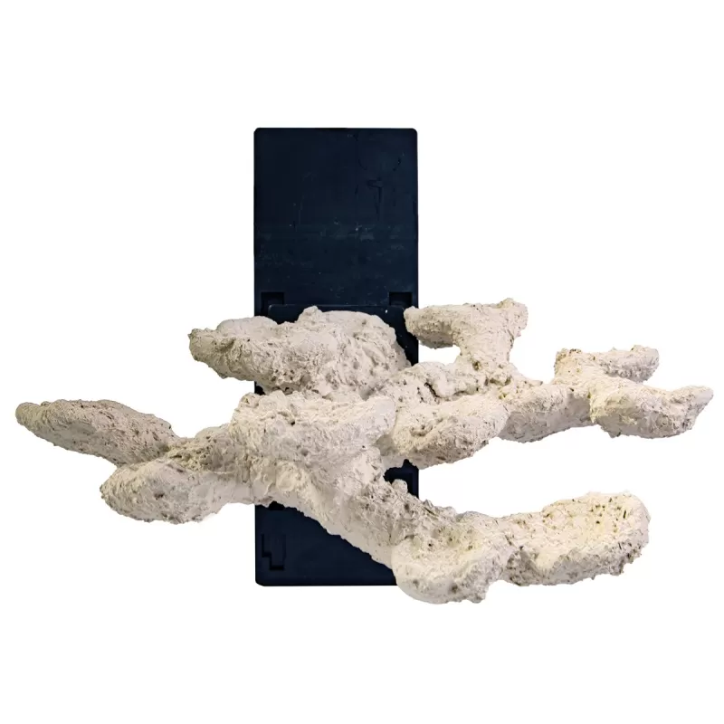 Blue marine floating rock set achter Blue marine floating rock set achter