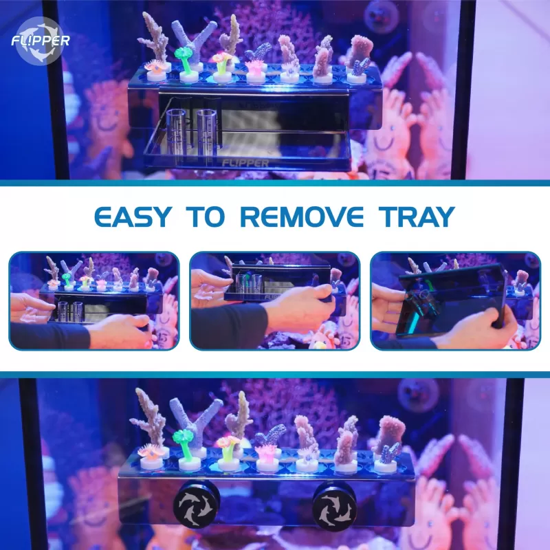 Flipper Frag Station - Blue