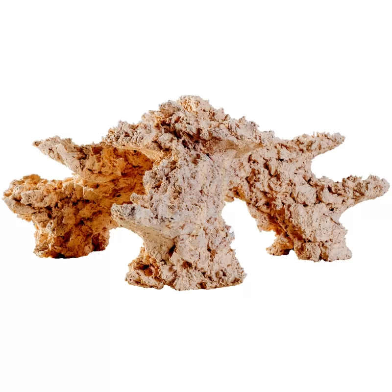Möchten Sie Arka 3D Arch - 50x50 cm kaufen? | Coralandfishstore.nl Möchten Sie Arka 3D Arch - 50x50 cm kaufen? | Coralandfishstore.nl