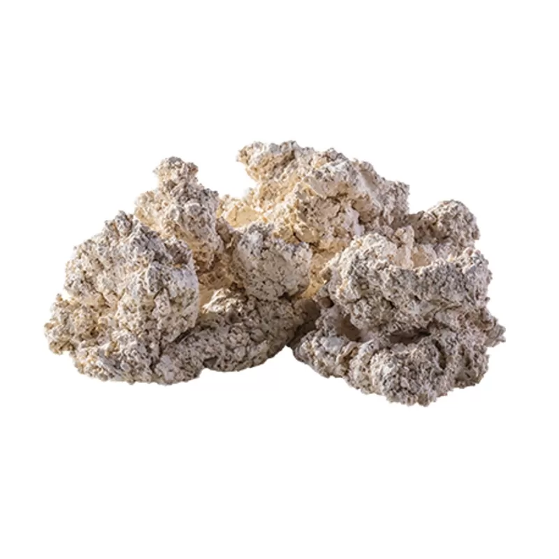 Möchten Sie Arka Backplane Puzzle 20cm kaufen? | Coralandfishstore.nl Möchten Sie Arka Backplane Puzzle 20cm kaufen? | Coralandfishstore.nl