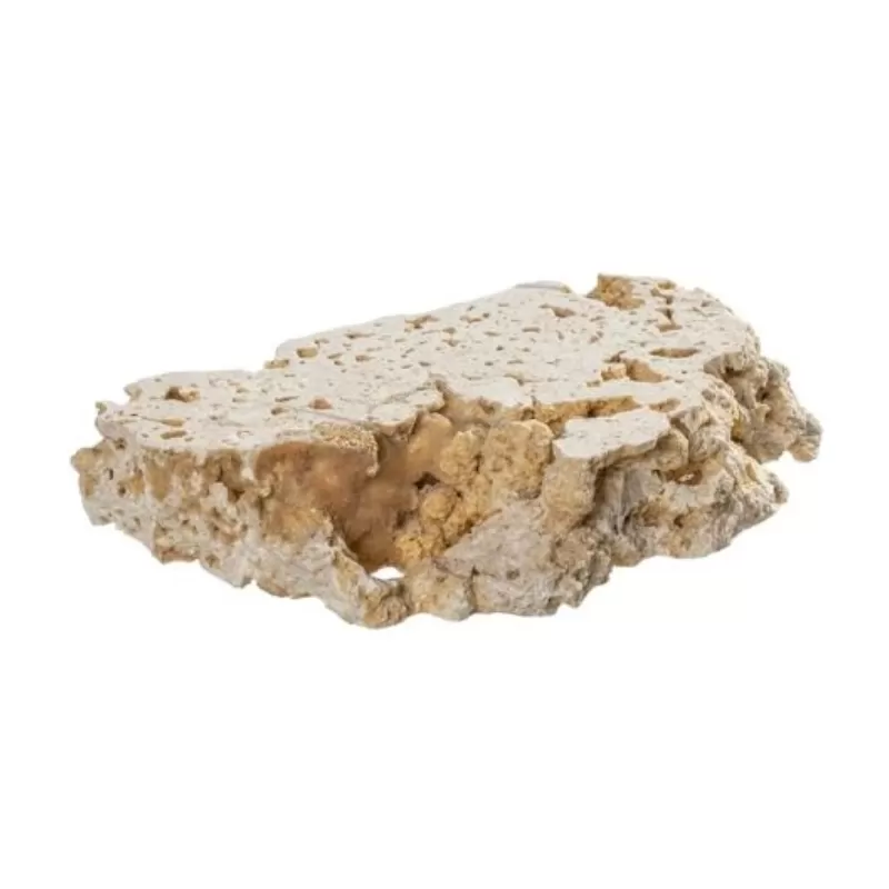 Möchten Sie Arka Cutted Natural Top - 20-30 cm (Box 7 Stück) kaufen? Möchten Sie Arka Cutted Natural Top - 20-30 cm (Box 7 Stück) kaufen?