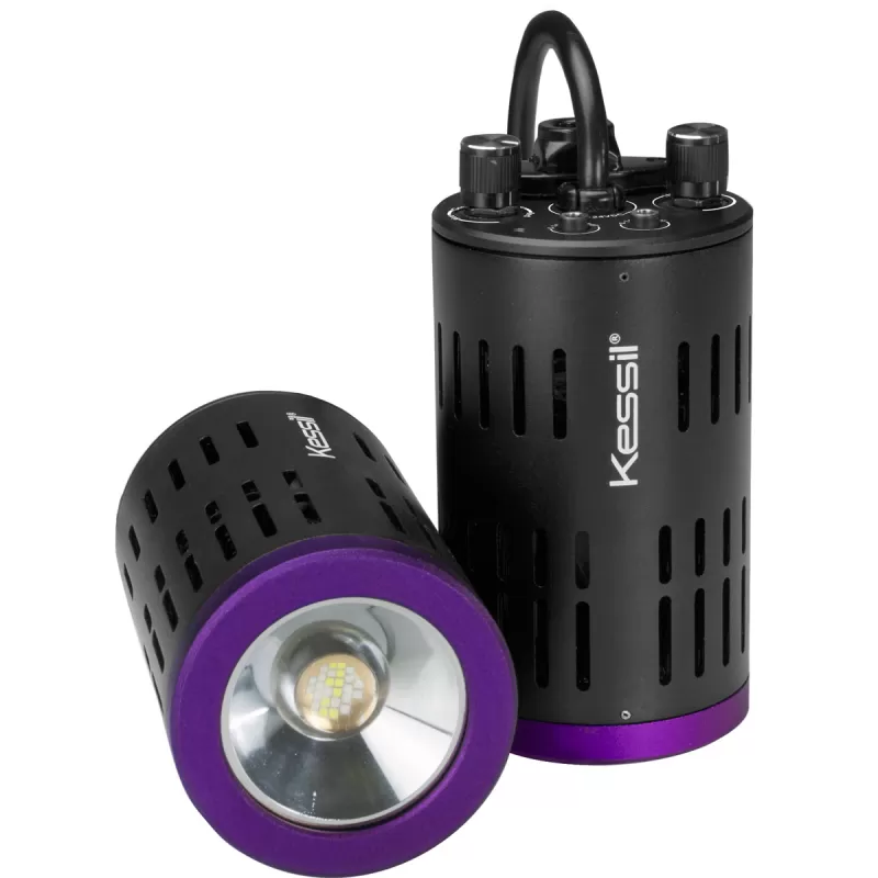 Möchten Sie Kessil LED H160 Tuna Flora kaufen? Coralandfishstore.nl Möchten Sie Kessil LED H160 Tuna Flora kaufen? Coralandfishstore.nl