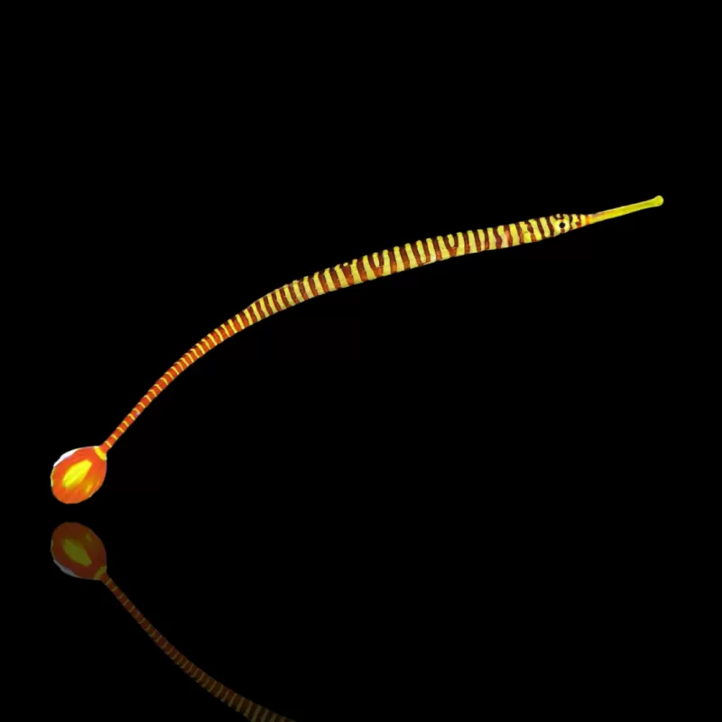 Korallen- und Fischgeschäft – Doryrhampus-multiannulatus kaufen? Korallen- und Fischgeschäft – Doryrhampus-multiannulatus kaufen?