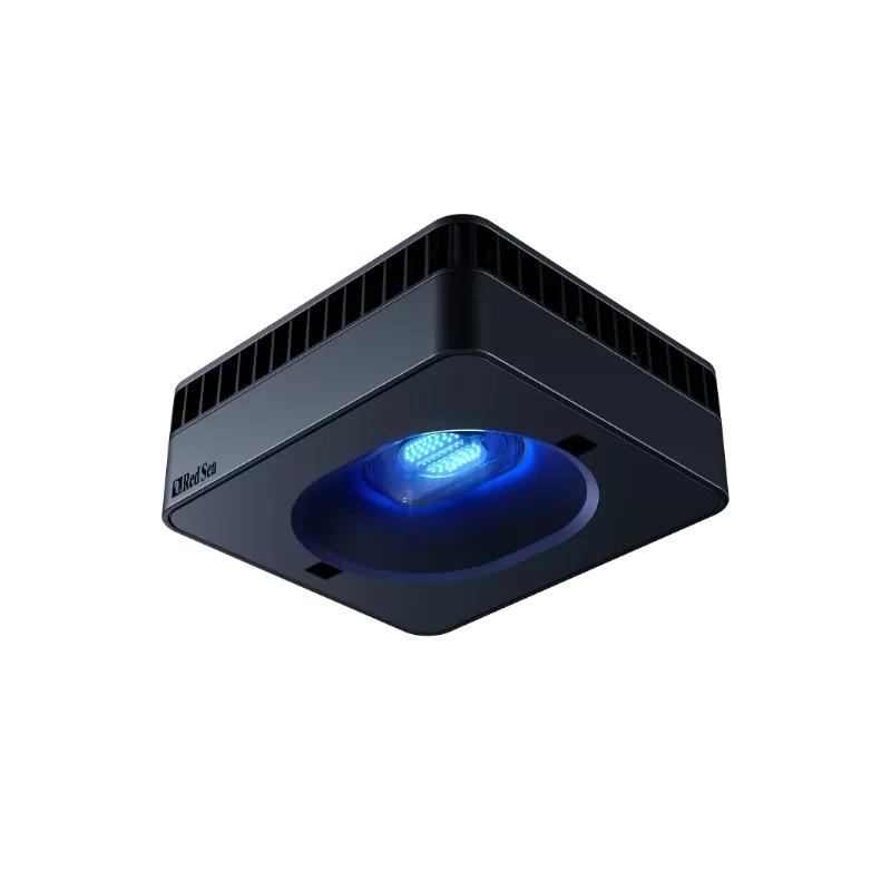 Red Sea Reefer 200 G2+ Deluxe Black kaufen | Coralandfishstore.nl Red Sea Reefer 200 G2+ Deluxe Black kaufen | Coralandfishstore.nl