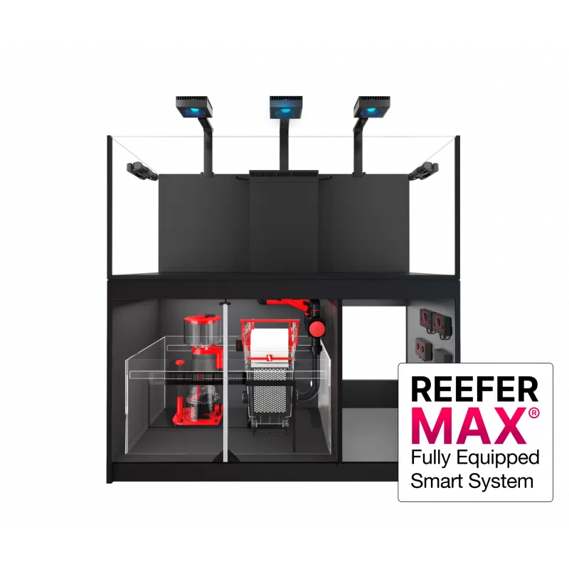 Red Sea REEFER MAX 525 G2+ Komplettsystem | Corallandfishstore Red Sea REEFER MAX 525 G2+ Komplettsystem | Corallandfishstore