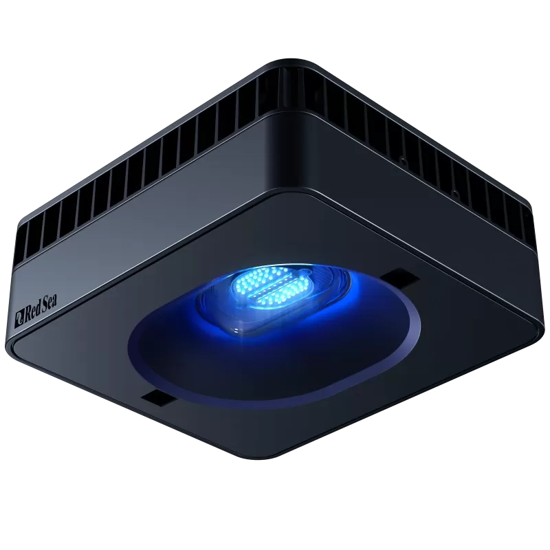 Reefer MAX Peninsula S-500 G2+ Komplettsystem | Corallandfishstore Reefer MAX Peninsula S-500 G2+ Komplettsystem | Corallandfishstore
