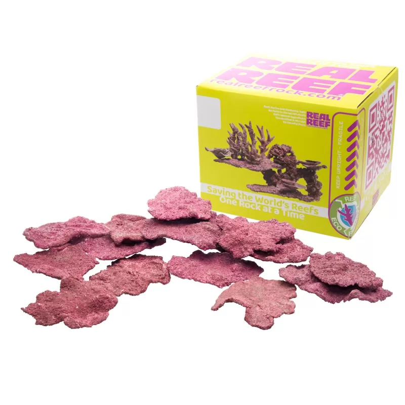 Real Reef Mini Shelf Rock - 15pcs kopen? | Coralandfishstore.nl Real Reef Mini Shelf Rock - 15pcs kopen? | Coralandfishstore.nl
