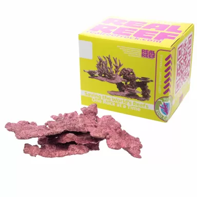 Möchten Sie echtes Riff-Schelfgestein kaufen? | Coralandfishstore.nl Möchten Sie echtes Riff-Schelfgestein kaufen? | Coralandfishstore.nl