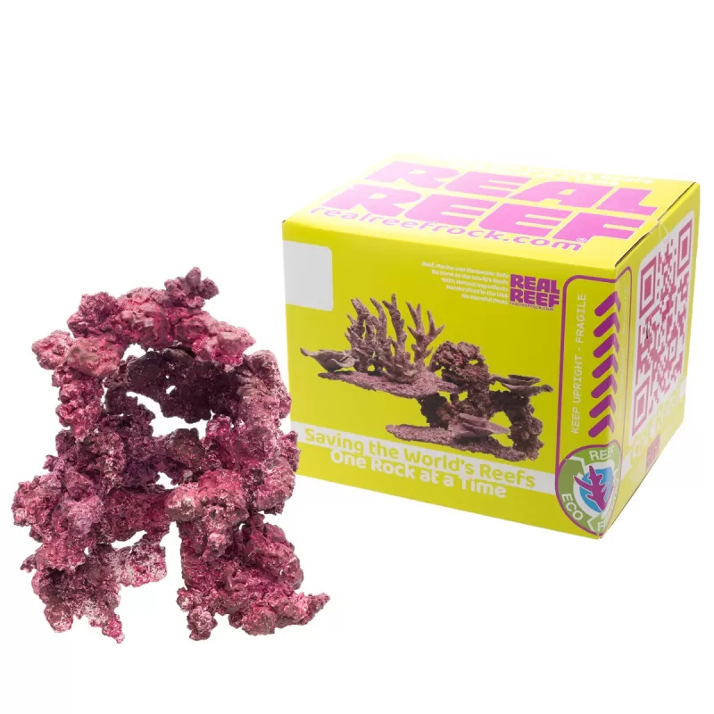 Real Reef Arches - Nano 6 stuks kopen ? Coralandfishstore.nl Real Reef Arches - Nano 6 stuks kopen ? Coralandfishstore.nl