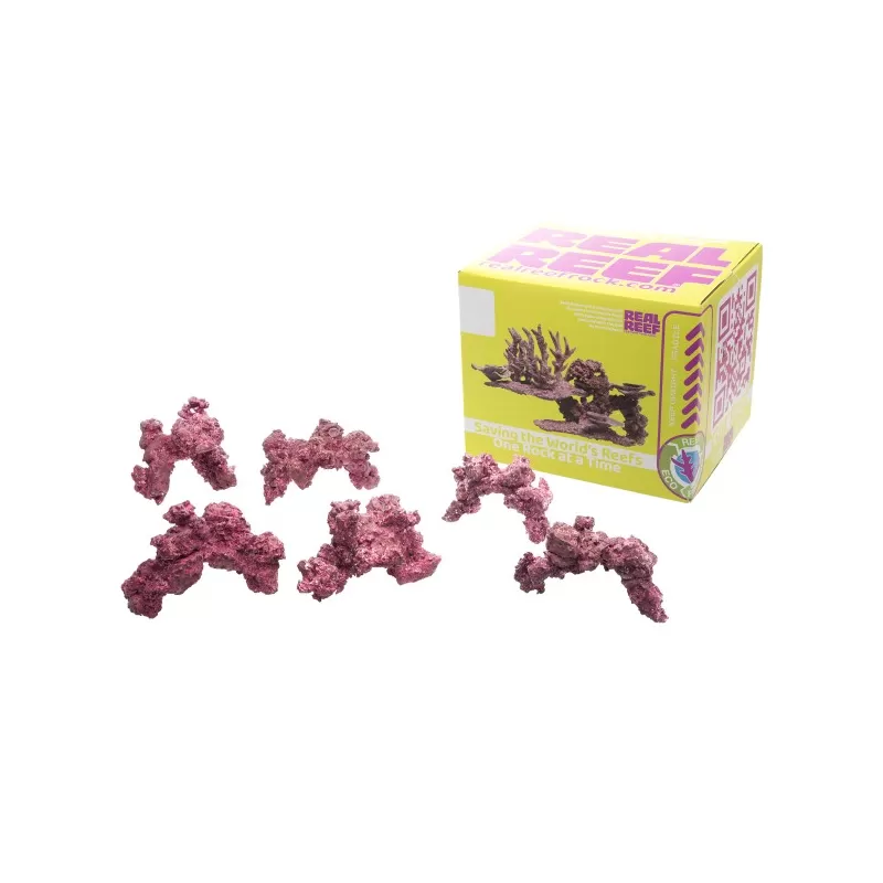 Real Reef Arches - Nano 6 Stück kaufen? Coralandfishstore.nl Real Reef Arches - Nano 6 Stück kaufen? Coralandfishstore.nl