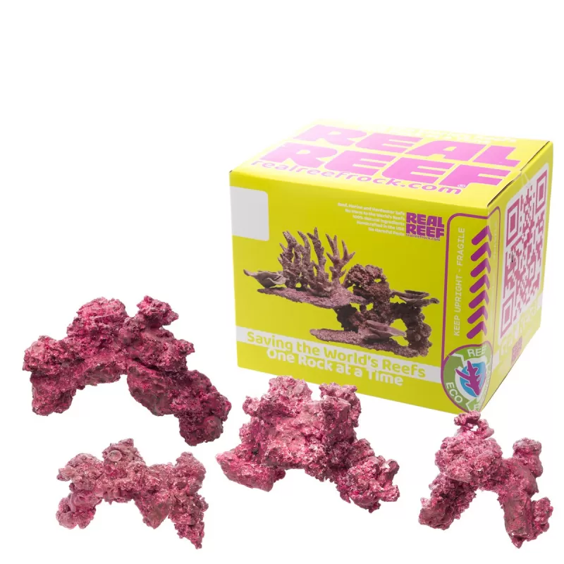 Real Reef Arches - Medium 4pcs Real Reef Arches - Medium 4pcs