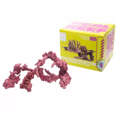 Real Reef Fancy Arches – 4 Stück kaufen? | Coralandfishstore.nl Real Reef Fancy Arches – 4 Stück kaufen? | Coralandfishstore.nl