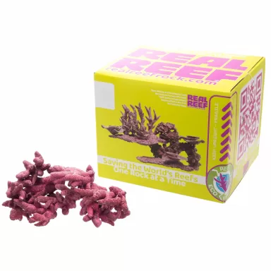 Real Reef Mini Branched Rock kopen? | Coralandfishstore.nl Real Reef Mini Branched Rock kopen? | Coralandfishstore.nl