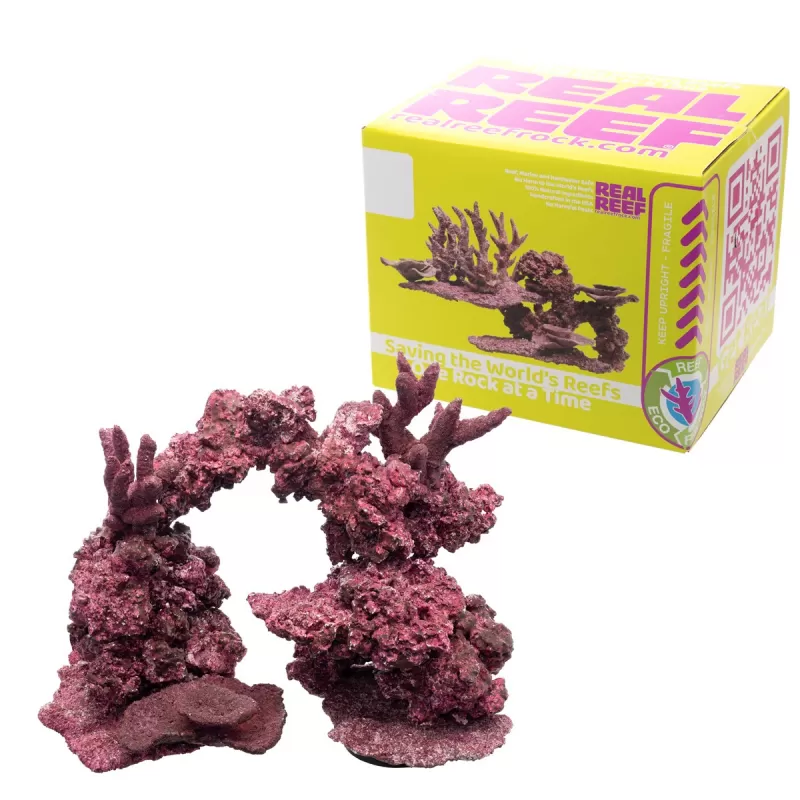 Real Reef Mini Mix - 9-10 stuks kopen? | Coralandfishstore.nl Real Reef Mini Mix - 9-10 stuks kopen? | Coralandfishstore.nl