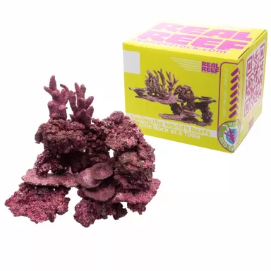 Real Reef Mini Mix - 9-10 stuks kopen? | Coralandfishstore.nl Real Reef Mini Mix - 9-10 stuks kopen? | Coralandfishstore.nl