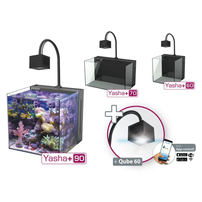 Aqua Medic Yasha+ 60 kaufen? Corqlandfishstore.nl Aqua Medic Yasha+ 60 kaufen? Corqlandfishstore.nl