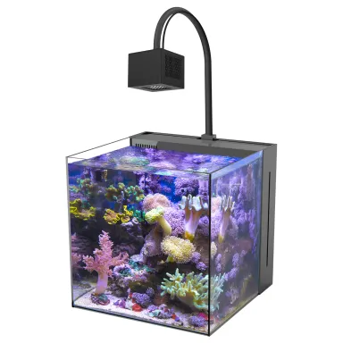 Aqua Medic Yasha+ 60 kaufen? Corqlandfishstore.nl