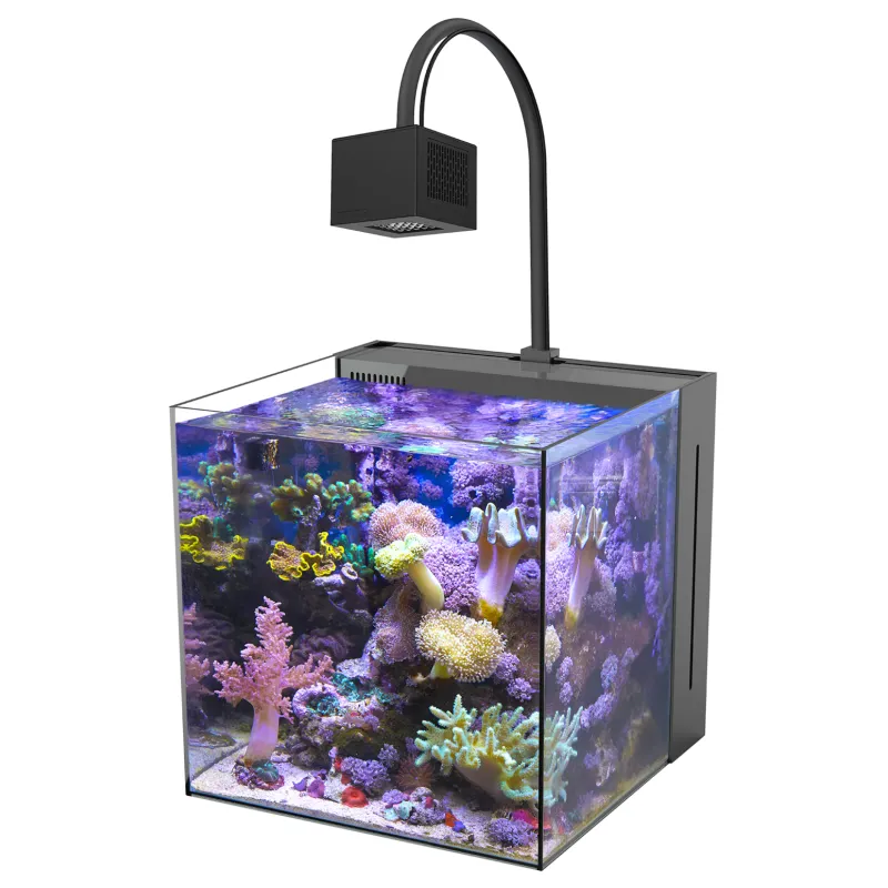 Aqua Medic Yasha+ 60 kaufen? Corqlandfishstore.nl Aqua Medic Yasha+ 60 kaufen? Corqlandfishstore.nl